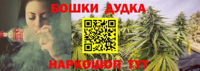 сатива Изобильный