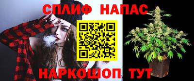 сатива Изобильный