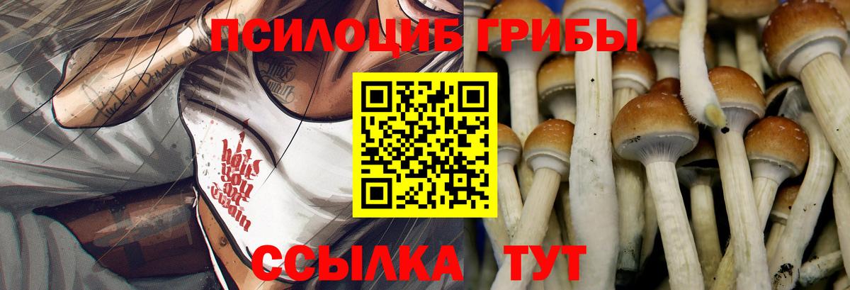 Зима  Псилоцибиновые грибы Psilocybine cubensis  купить наркотики сайты  Галлюциногенные грибы Psilocybine cubensis  Вход с VPN 
